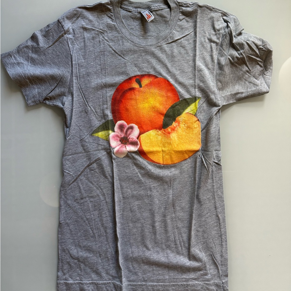 Phoenix (band) American Apparel Bankrupt! (2013) Gray Tee with Peach Print